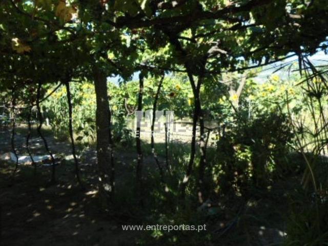 Quinta venda em Rio de Galinhas, Marco De Canaveses