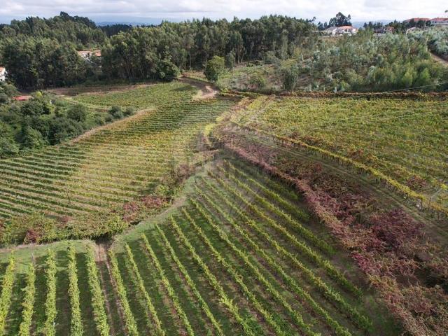 Quinta venda em Felgueiras, Porto