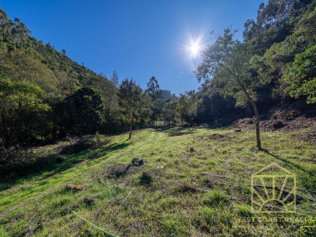 Quinta venda em Monchique, Faro