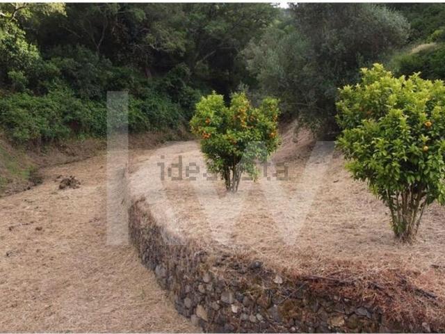 Quinta venda em Marmelete, Marmelete