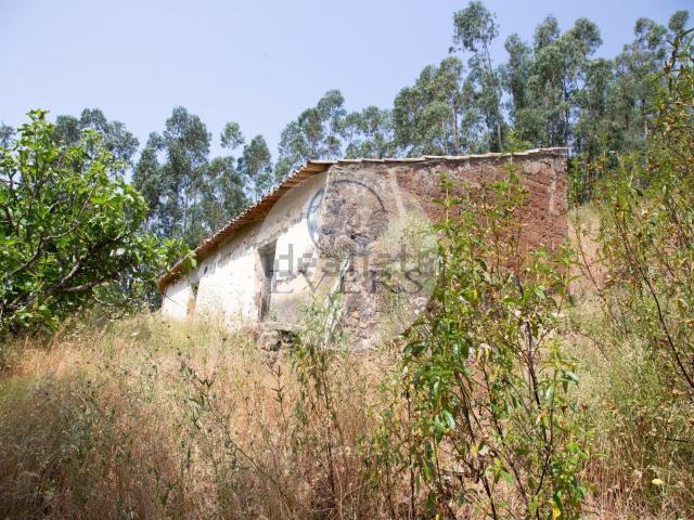 Quinta venda em Monchique, Faro