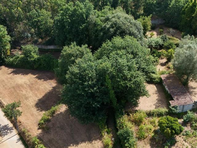 Quinta venda em Marrancos e Arcozelo, Vila Verde