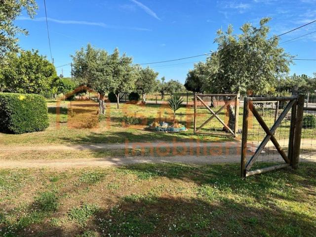 Quinta venda em Abrantes, Santarém