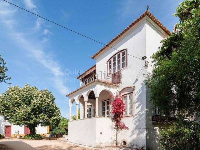 Quinta venda em Torres Novas, Santarém