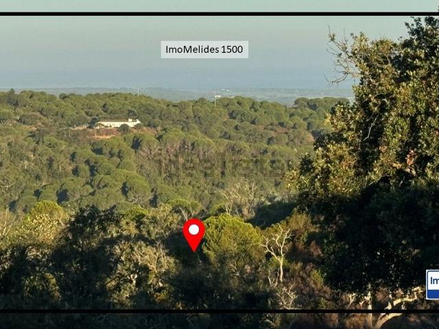 Quinta venda em Grândola, Setúbal