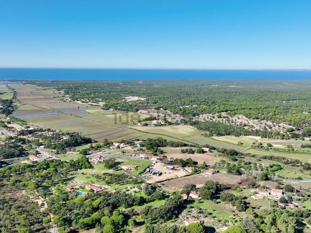 Quinta venda em Grândola, Setúbal