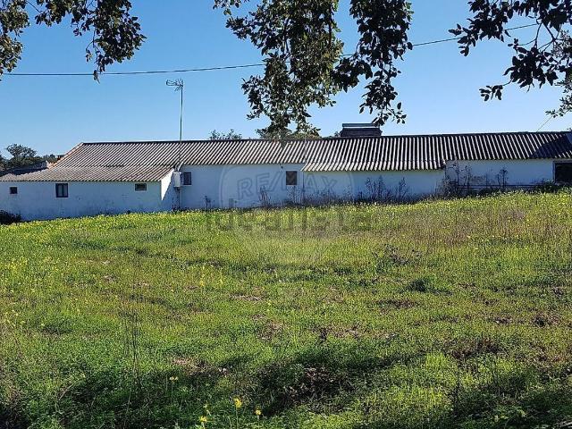 Quinta venda em Grândola, Setúbal