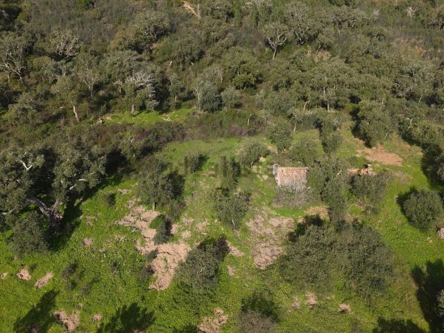 Quinta venda em Grândola, Setúbal
