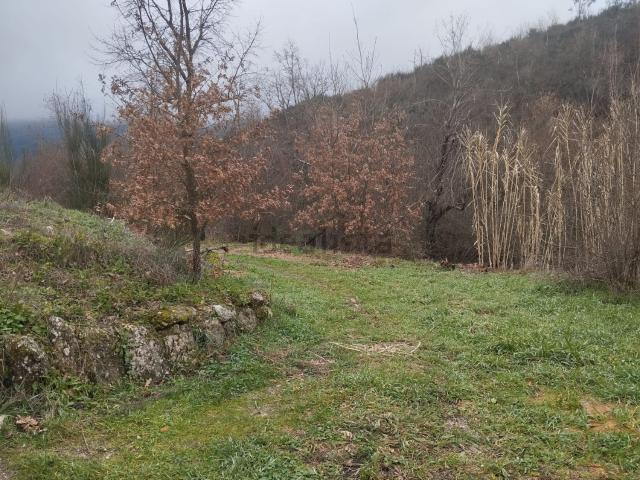 Quinta alugar em Guarda, São Julião