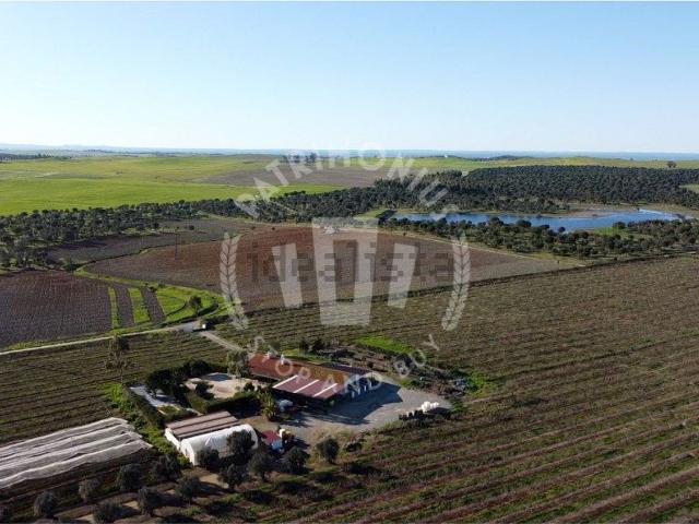 Quinta venda em Messejana, Beja