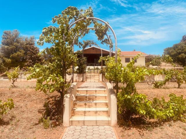Quinta venda em Várzea do Farelo, Portimão