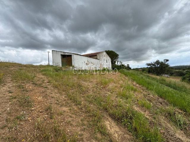 Quinta venda em Mexilhoeira Grande, Verde