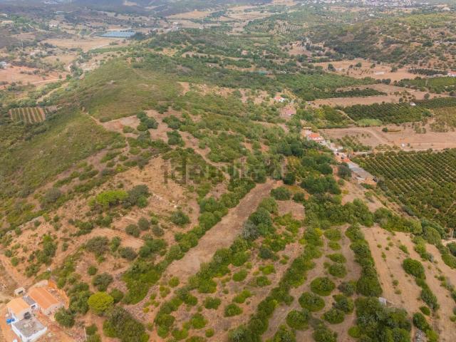 Quinta venda em Mexilhoeira Grande, Portimão