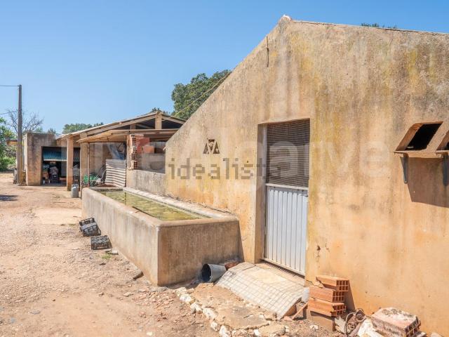 Quinta venda em Mexilhoeira Grande, Figueira