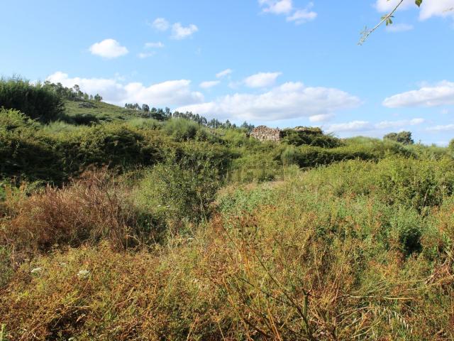 Quinta venda em Vila do Mato, Tábua
