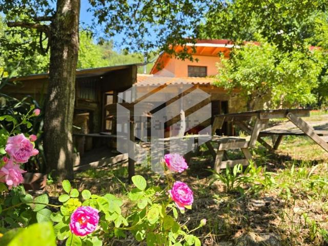 Quinta venda em Tábua, Coimbra