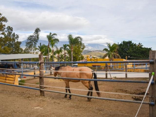Casa Rural en venta en Entrerríos, Mijas