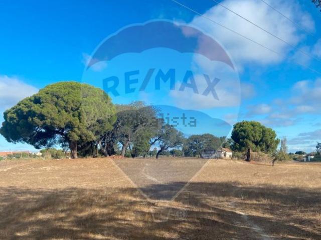 Quinta venda em Moita, Setúbal