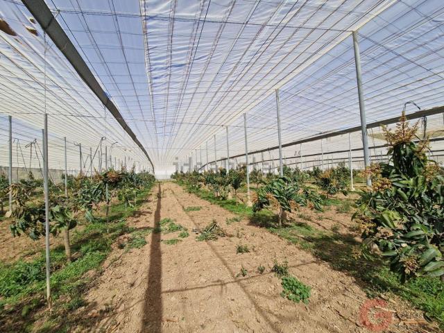 Casa Rural en venta en Comarca de la Costa Granadina, Andalucía