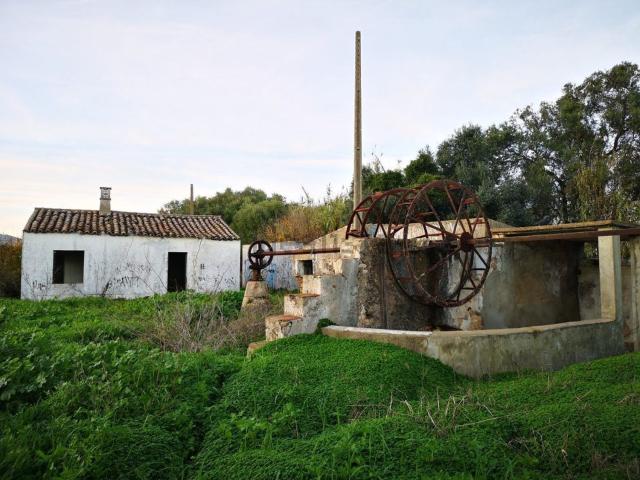 Quinta venda em Moncarapacho, Olhão