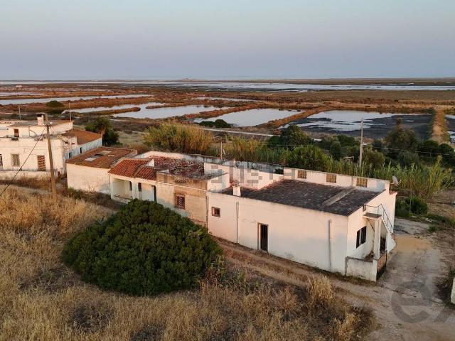 Quinta venda em Bias do Sul, Olhão