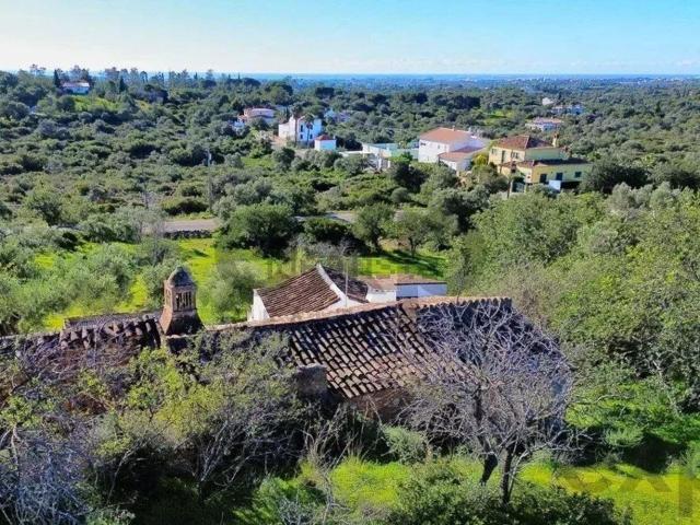 Quinta venda em Olhão, Faro