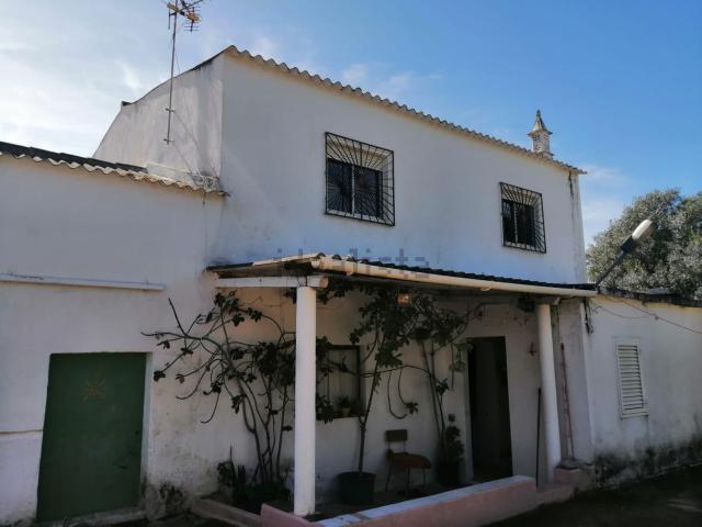 Quinta venda em Quatrim do Sul, Olhão