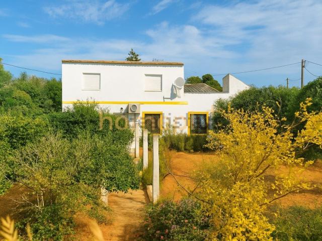 Quinta venda em Alfandanga, Olhão