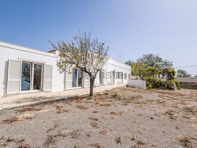 Quinta venda em São Brás De Alportel, Faro