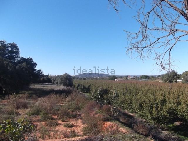 Quinta venda em Olhão, Faro