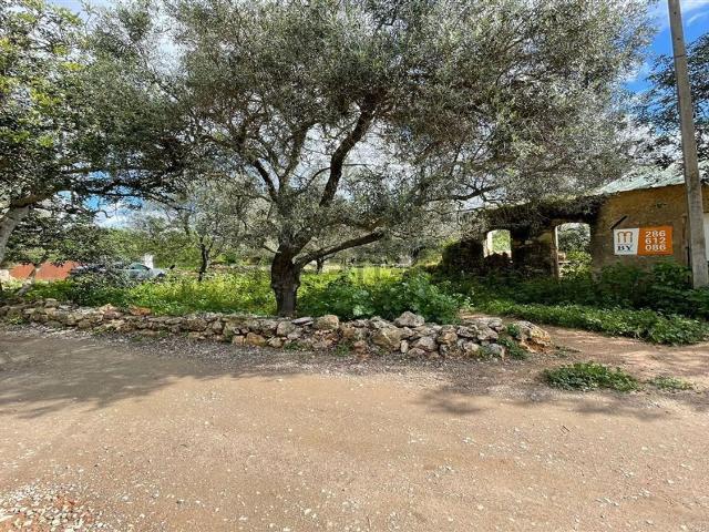 Quinta venda em Olhão, Faro