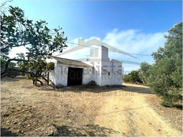 Quinta venda em Bias do Sul, Olhão