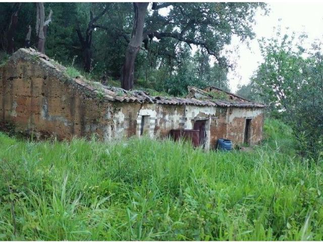 Quinta venda em Portela da Nave, Monchique