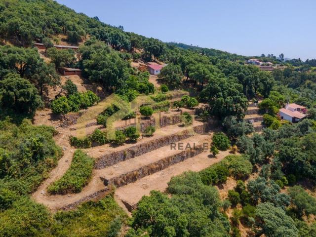 Quinta venda em Monchique, Ceiceira