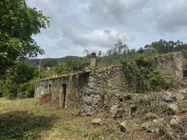 Quinta venda em Monchique, Faro