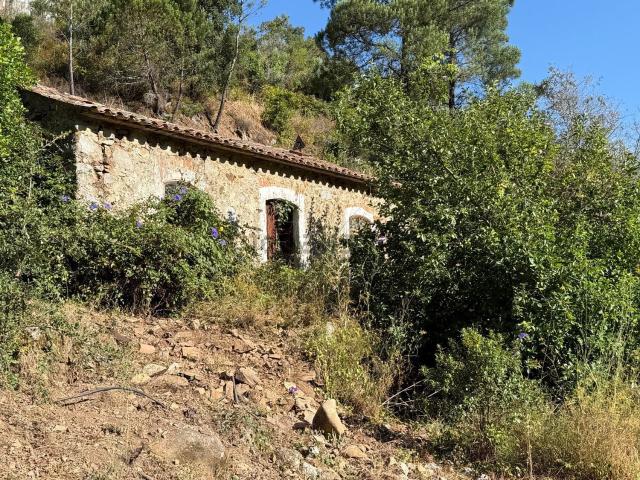 Quinta venda em Barranco dos Pisões, Monchique