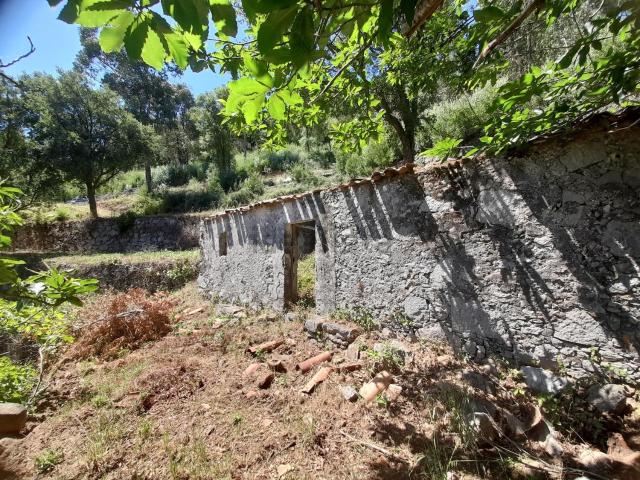 Quinta venda em Portela da Nave, Monchique