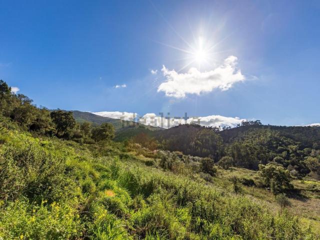 Quinta venda em Monchique, Faro