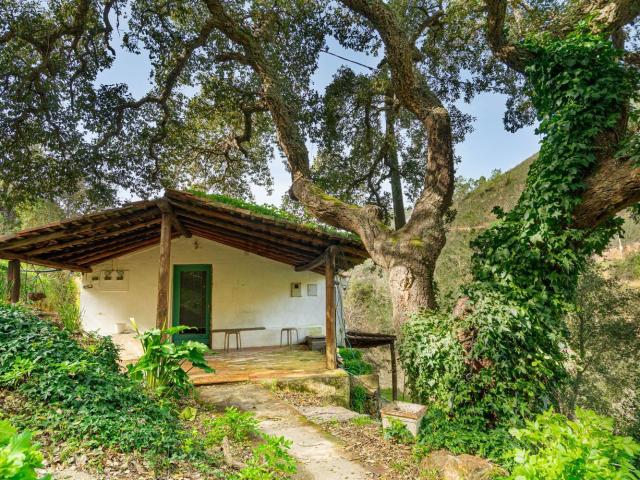 Quinta venda em Monchique, Faro