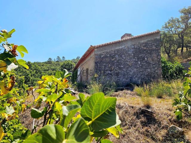 Quinta venda em Monchique, Faro