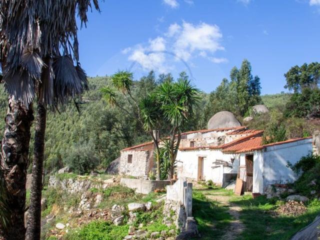 Quinta venda em Monchique, Faro
