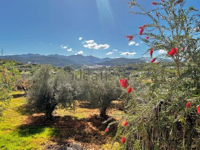 Casa Rural en venta en Sierra de las Nieves, Andalucía