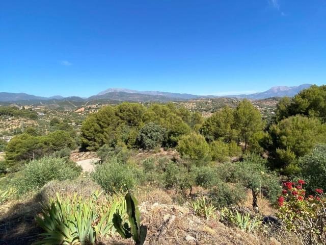 Casa Rural en venta en Sierra de las Nieves, Andalucía