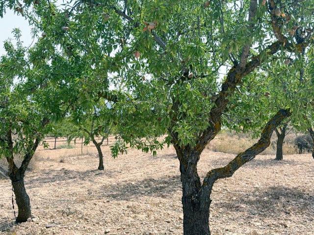 Casa Rural en venta en Chinorlet, el Vinalopó Mitjà / El Vinalopó Medio