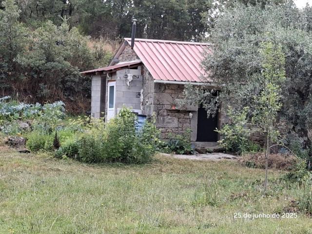Quinta venda em Castelo Branco, Idanha-a-nova