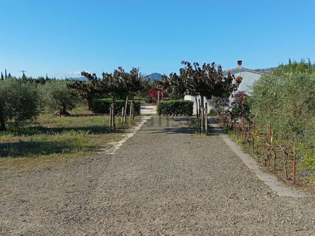 Casa Rural en venta en Montbrió Del Camp, Tarragona