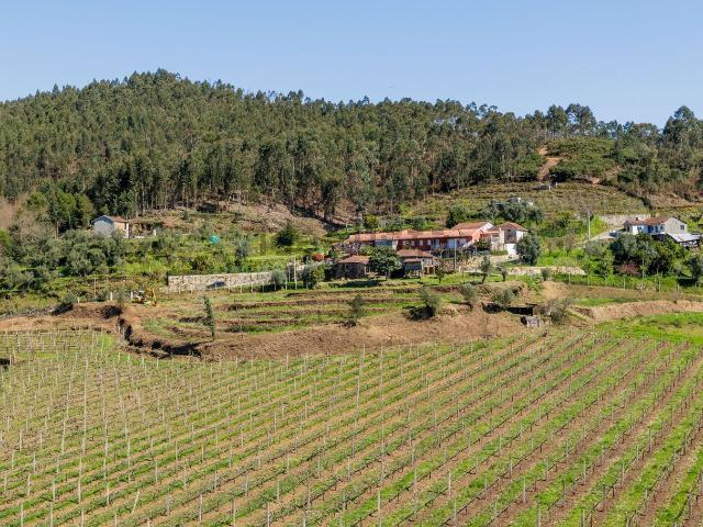 Quinta venda em Celorico De Basto, Braga