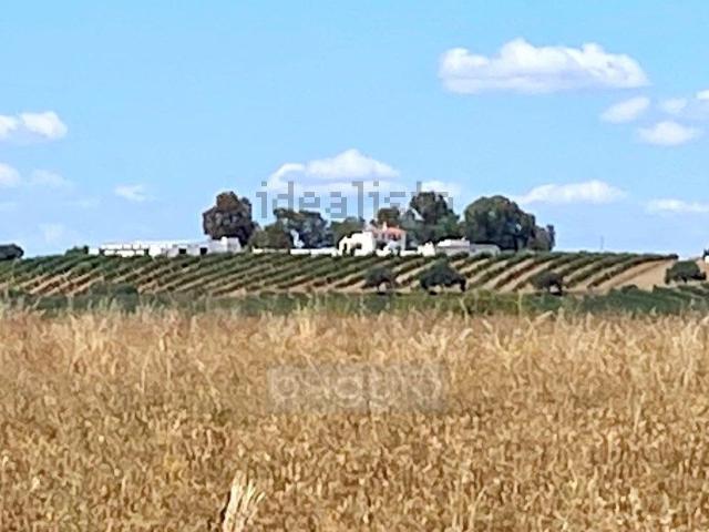 Quinta venda em Mouraria de Moura, Moura