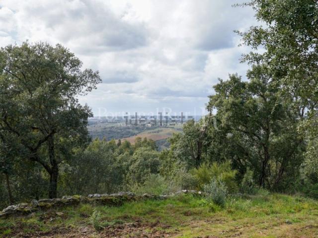 Quinta venda em Abrantes, Santarém