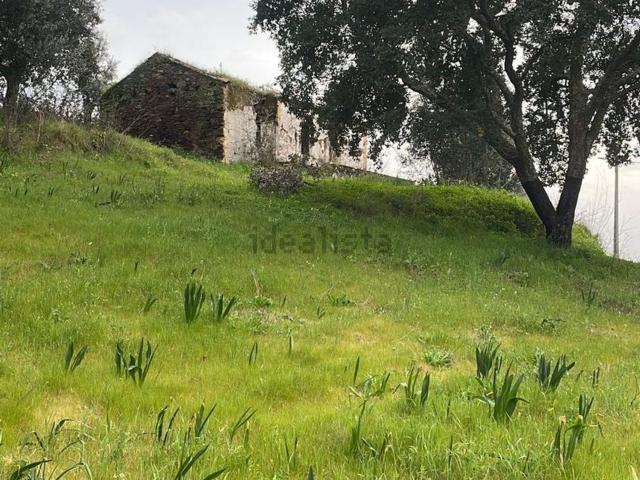 Quinta venda em Abrantes, Santarém